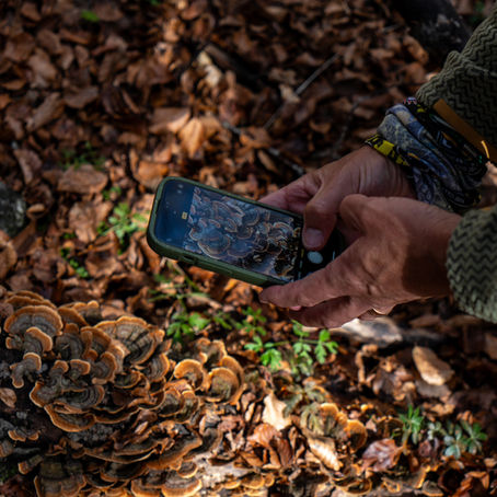 Does technology have a role to play in the nature positive movement?