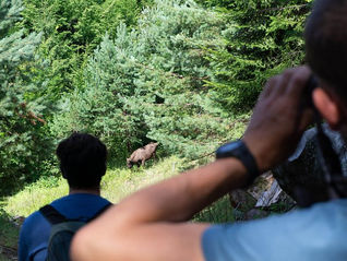Beyond the Bison: How a Community in Romania is Crafting a Blueprint for Nature-Positive Culture, Starting with Tourism