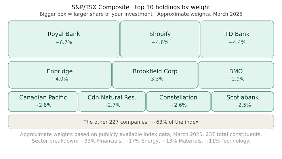 TSX Composite cap-weighted treemap — Royal Bank leads at 6.7%, with five financial companies in the top 10; financials and energy together make up roughly half the index