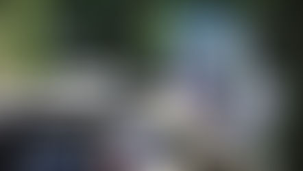 2017 Africa Twin (DCT)