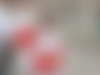 The rebirth of a beloved kindergarten