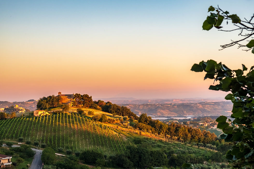Tuscan Golden Hour