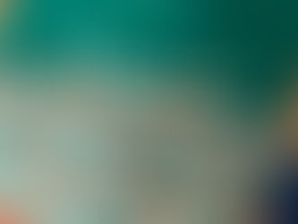 motif renard sur un pochon