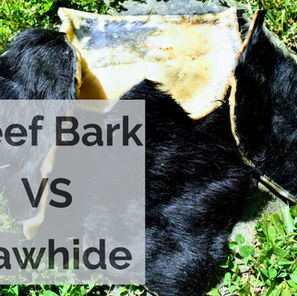 Beef Bark VS Rawhide