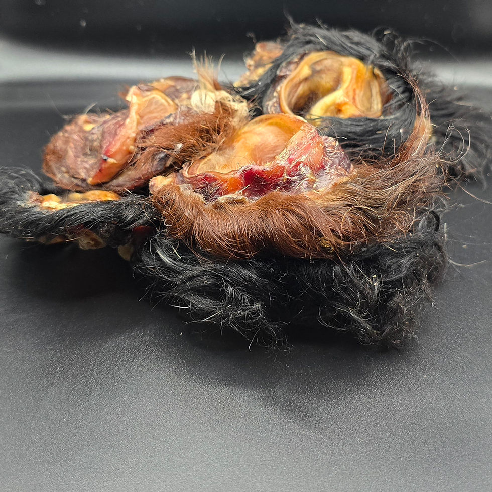 Thumbnail: single ingredient hair cow ear dog chews