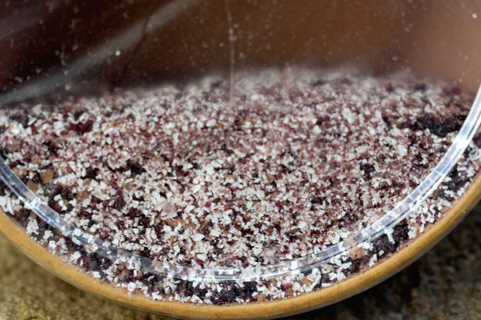 Thumbnail: Banana & Blueberry Freezable Dog Treat showing single serving bag up close