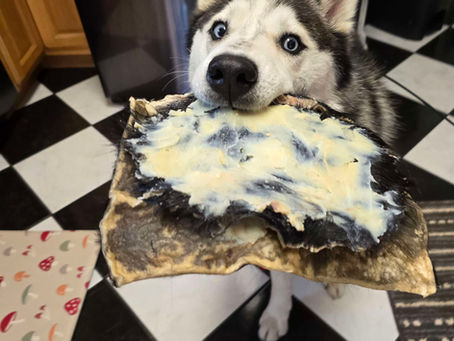 Natural Kongs for Dogs: Safer Alternatives to Rubber Kongs & Lick Mats