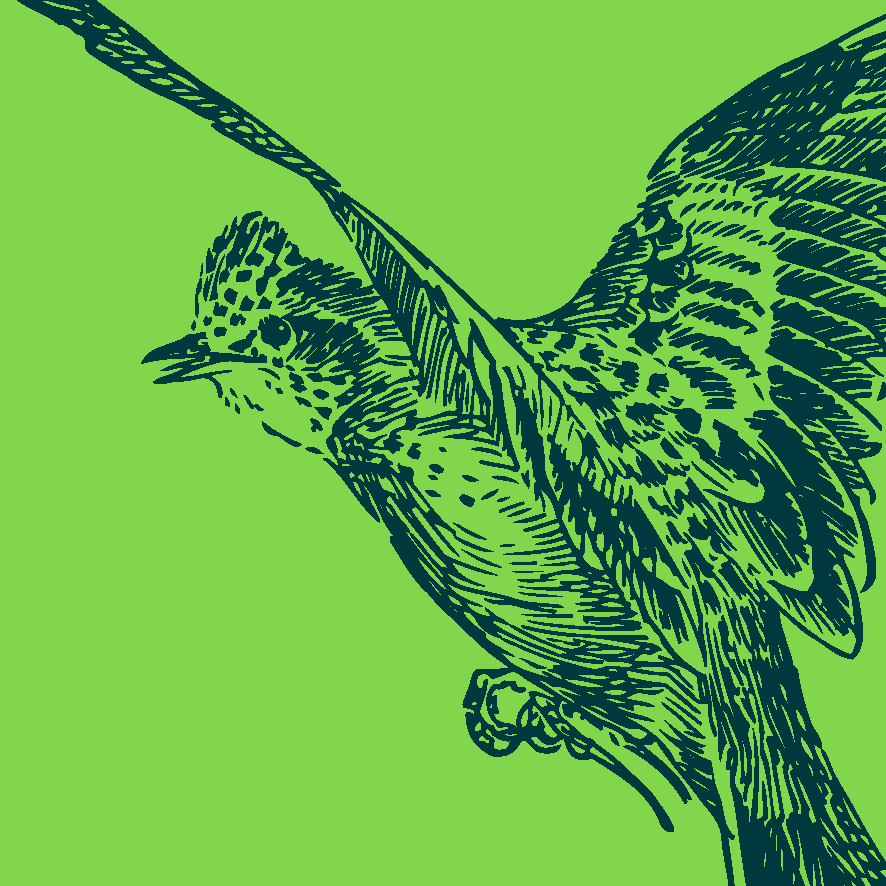 50Anos_PGECL-11.gif