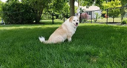 Lucy2.jpg