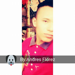 17498721_690156434504350_2244115399529576103_n