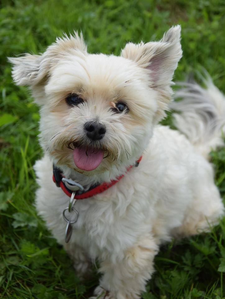 13700193_1815721081994964_2257591739818962331_n-1