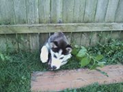 1004968_723077971056885_1883505027_a