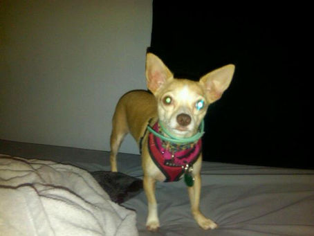 Harnessing the Energy - Part 3