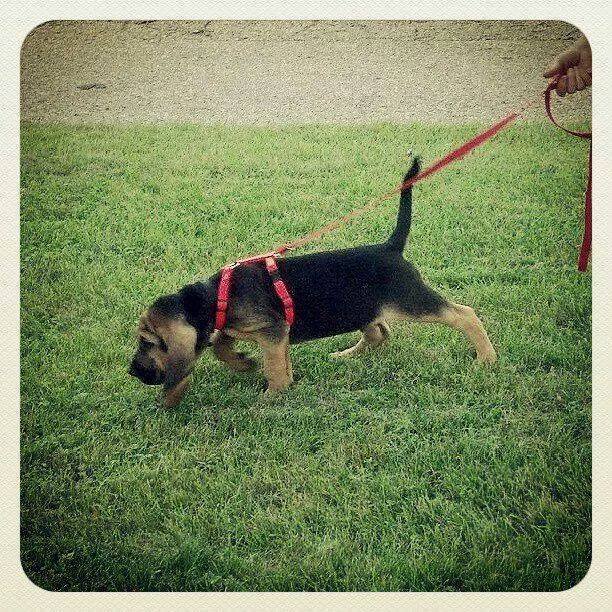 Photo couresty of K McPherson