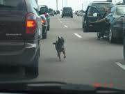 Unlikely behavior?