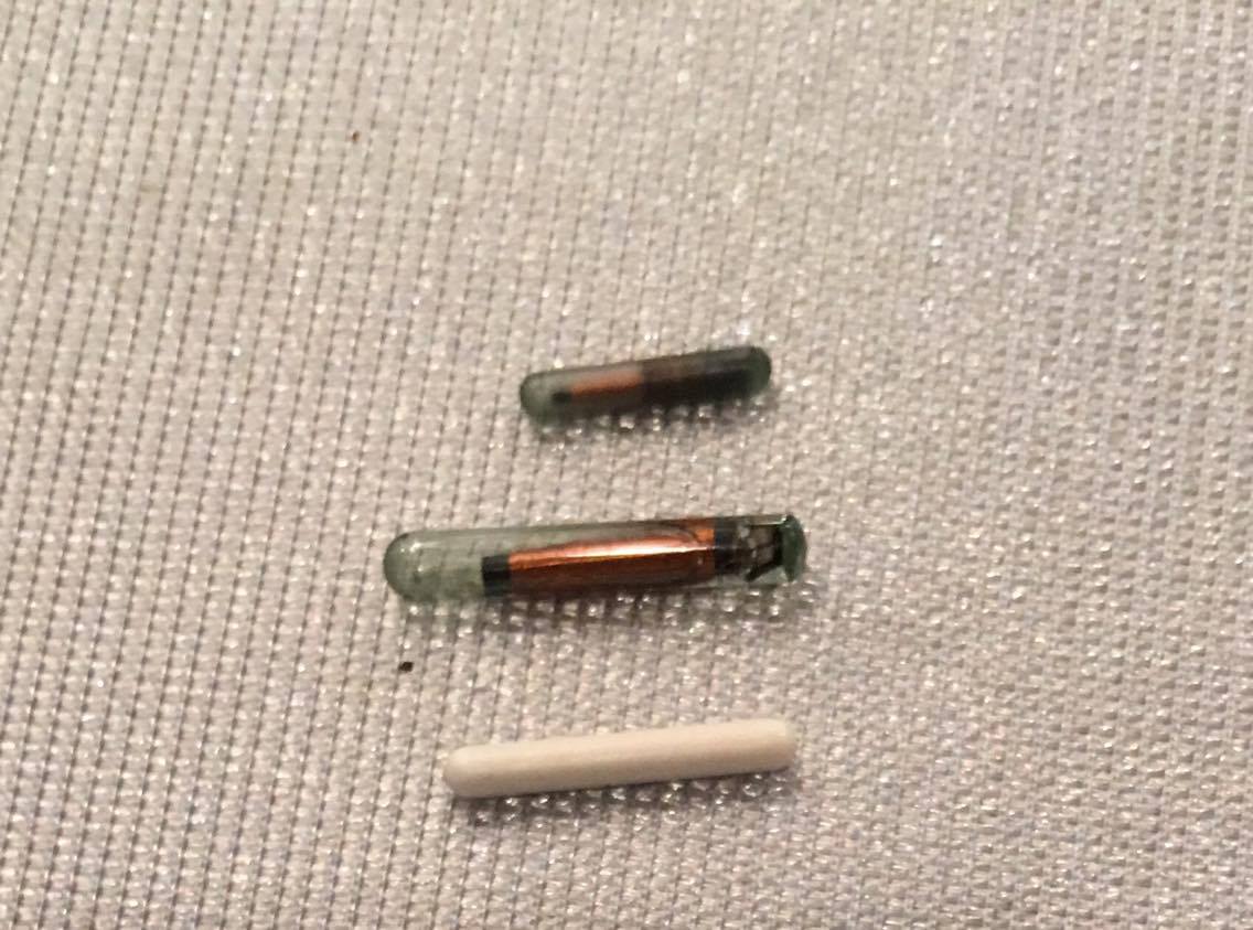 different sizes of microchips