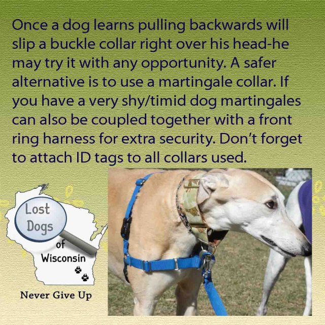 164656_10151397073726241_1355101785_n