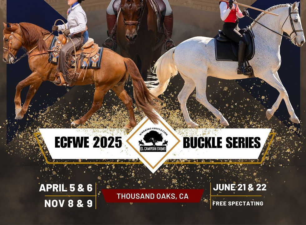2025 ECFWE BUCKLE SERIES 5 & 6