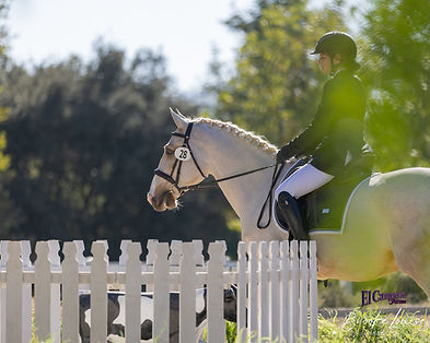 El Campeón Farms Fall-O-Ween Working Equitation Shows