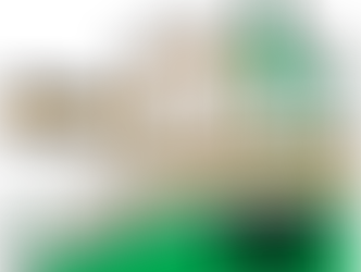 ASSEMBLEIA GERAL ORDINÁRIA 11/FEV