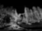 Post-lenticular Landscapes by ScanLab