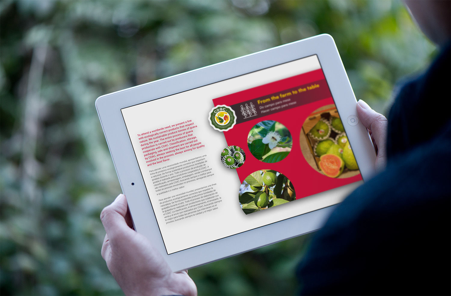 Site design marketing