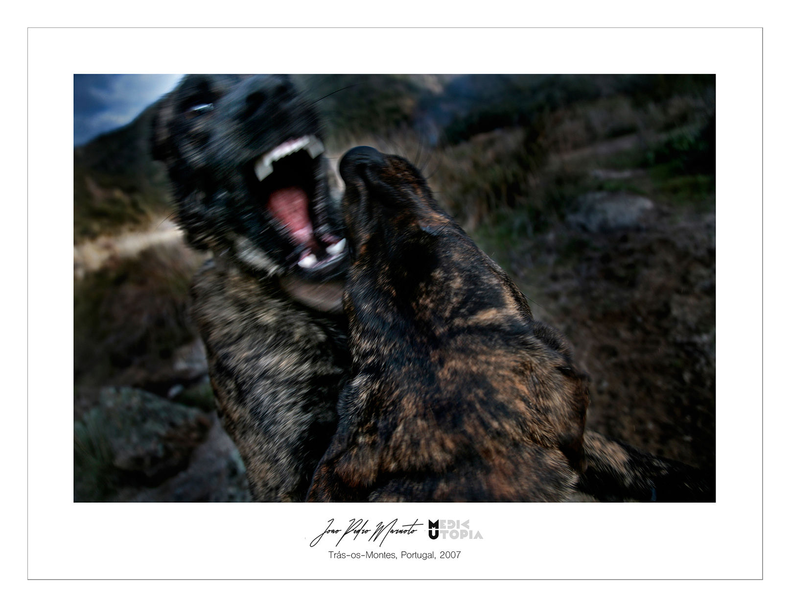 9Winter3Hell_Poster#4