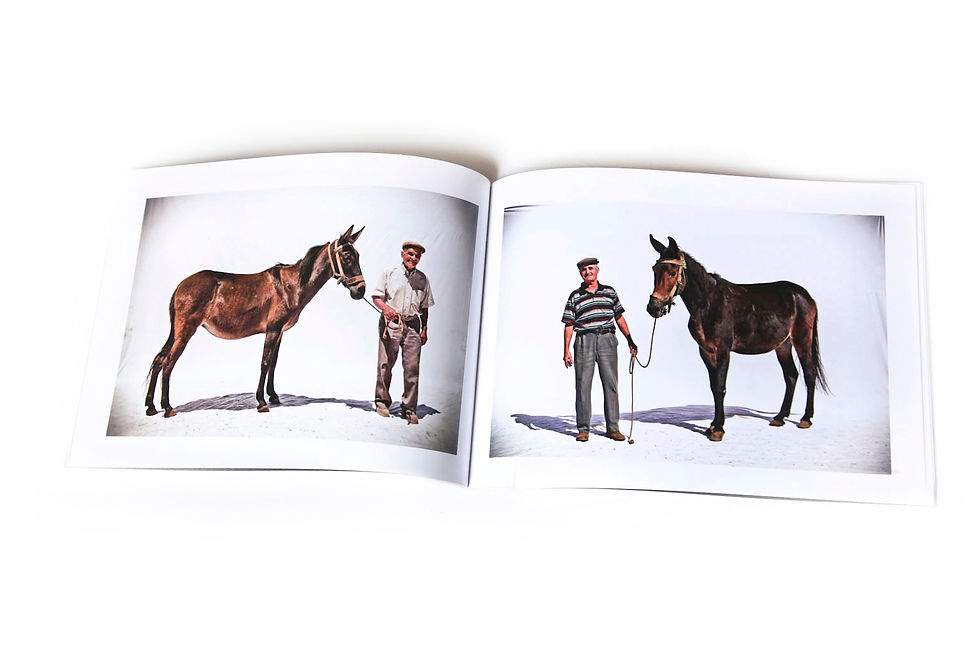 Miniatura: Fé nos Burros (assinado) + DVD