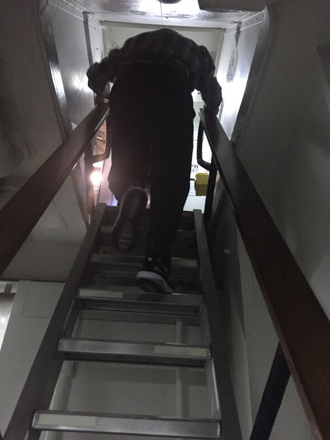 IMG_8183.jpeg