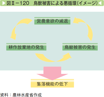 snn225.gif