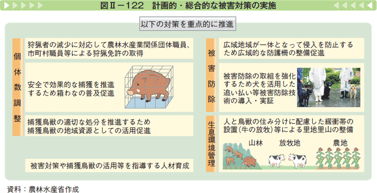 snn227.gif