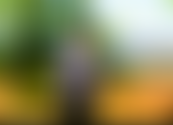 حراك ليبيا السلام على اختيار السيدة خديجة العمامي مقرراً عاماً لحِراك ليبيا