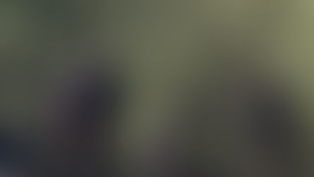 الجيش الجزائري يقتل ثمانية مسلحين