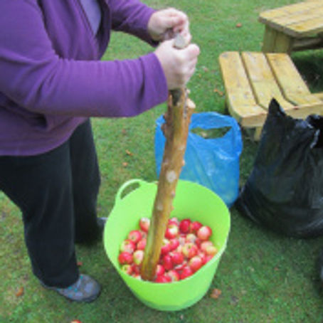 Apple Day at Viewfield Orchard 2018