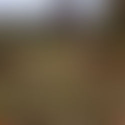 Are you a leaf gathering champion?