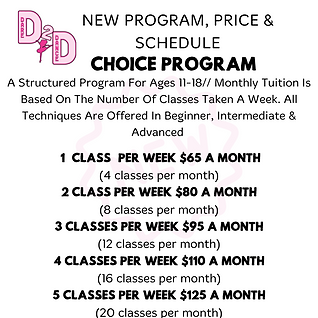 program and pricing (1).png