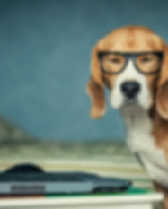 AdobeStock_61373697.jpeg