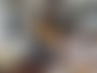 Why Sardine Cutlet with Salmon Is a Heart-Healthy Choice for Cats