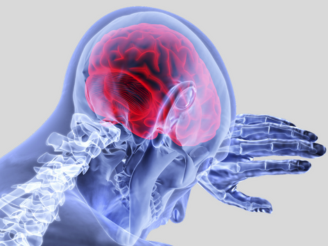 A Discussion on Organ Donation and Brain Death