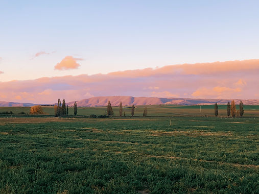 Bathurst_Distillery_View