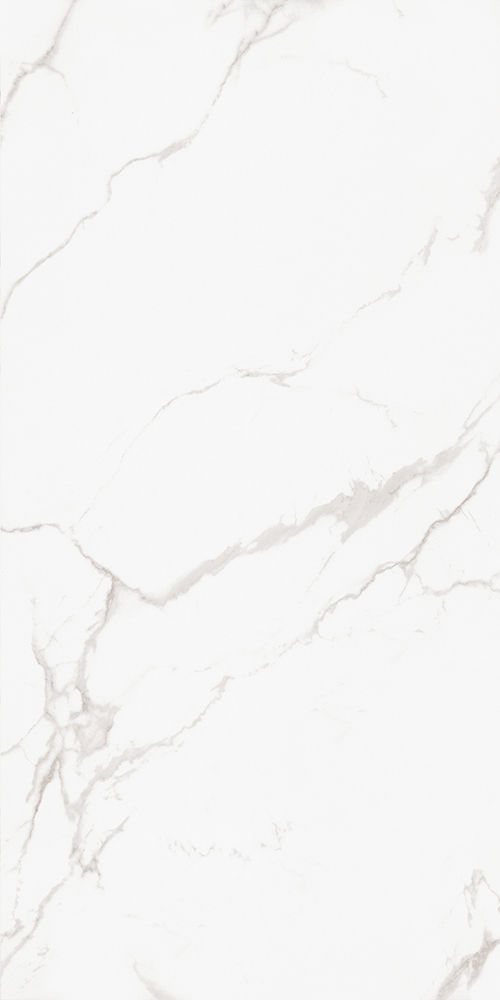 縮圖：意大利設計磁磚 Italian Design Tiles 2022004HD 60×120cm 地磚 牆磚