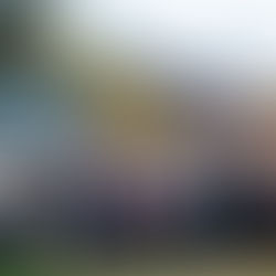 CPCNH member representatives gather for a group photo at the Fall 2025 Meeting in Waterville Valley.