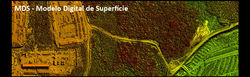 Modelo Digital de Superficie (MDS)