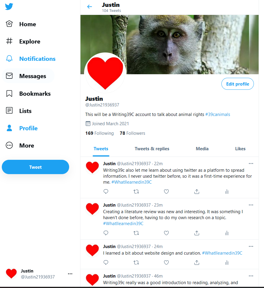 Final Twitter Update