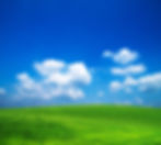 green-field.jpg