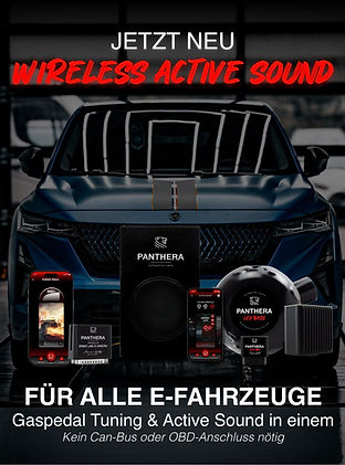 WhatsApp Bild 2025-11-04 um 17.08.16_40af45a7.jpg