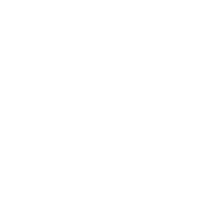ばら_edited.png