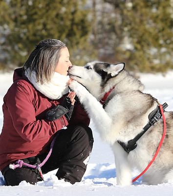 Sophie et son chien en conscience, cohorte de transformation