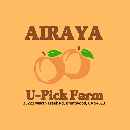AIRAYA U-pick in Brentwood