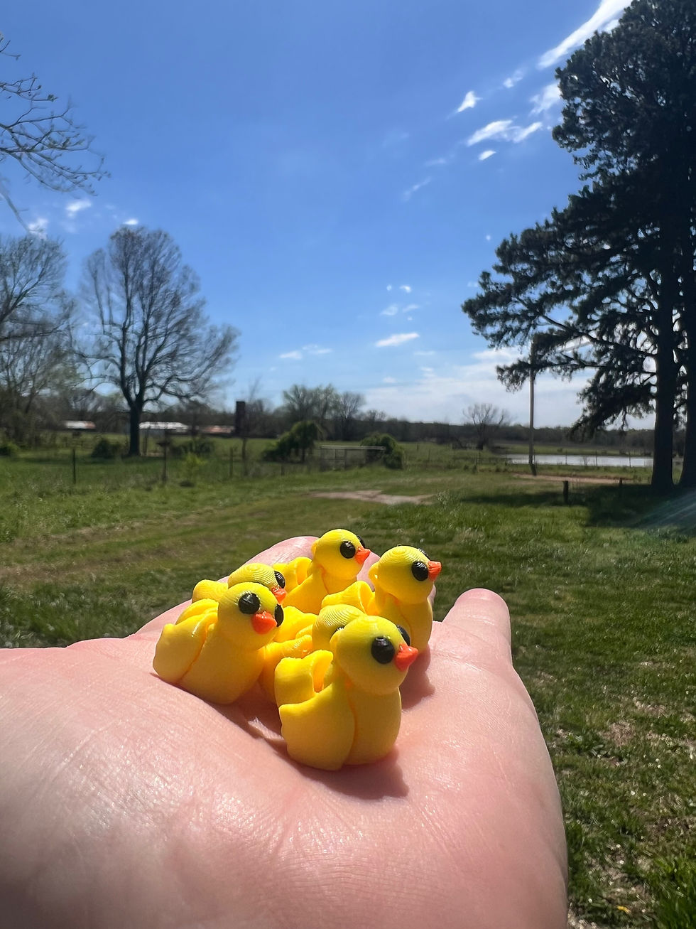 Ducky Earrings!